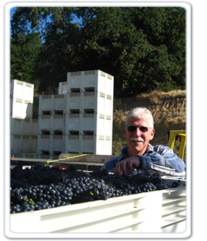 gary brookman and grape bins