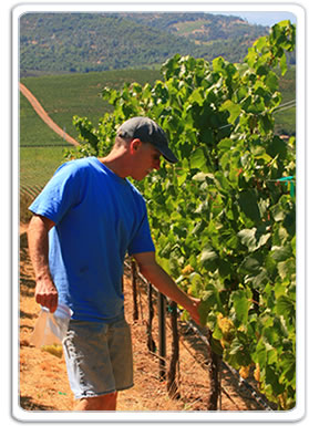 winemaker gary brookman